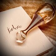 Dior J'adore Eau De Parfum 100ml